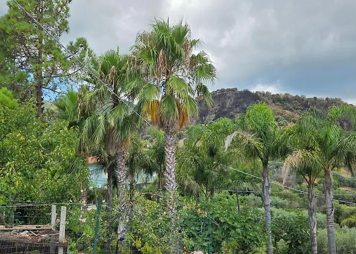 住宿加早餐酒店 Aria E Sole 3*